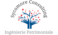 Sycomore Consulting à Saint-Denis de La Reunion, logo